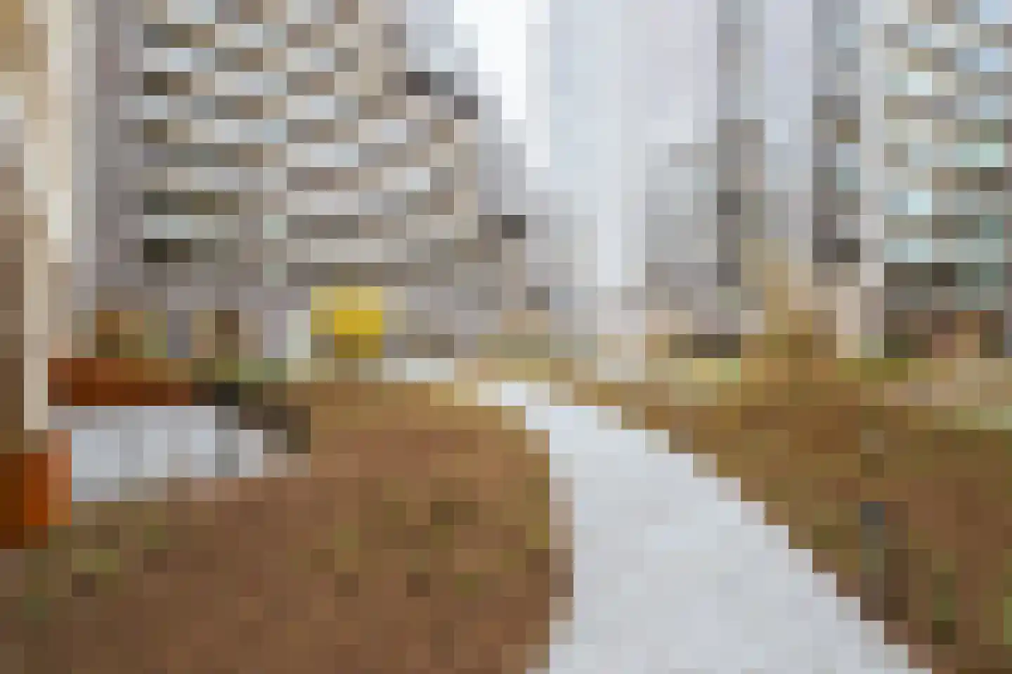 Dudokstraat 46 Hoofddorp thumbnail 12