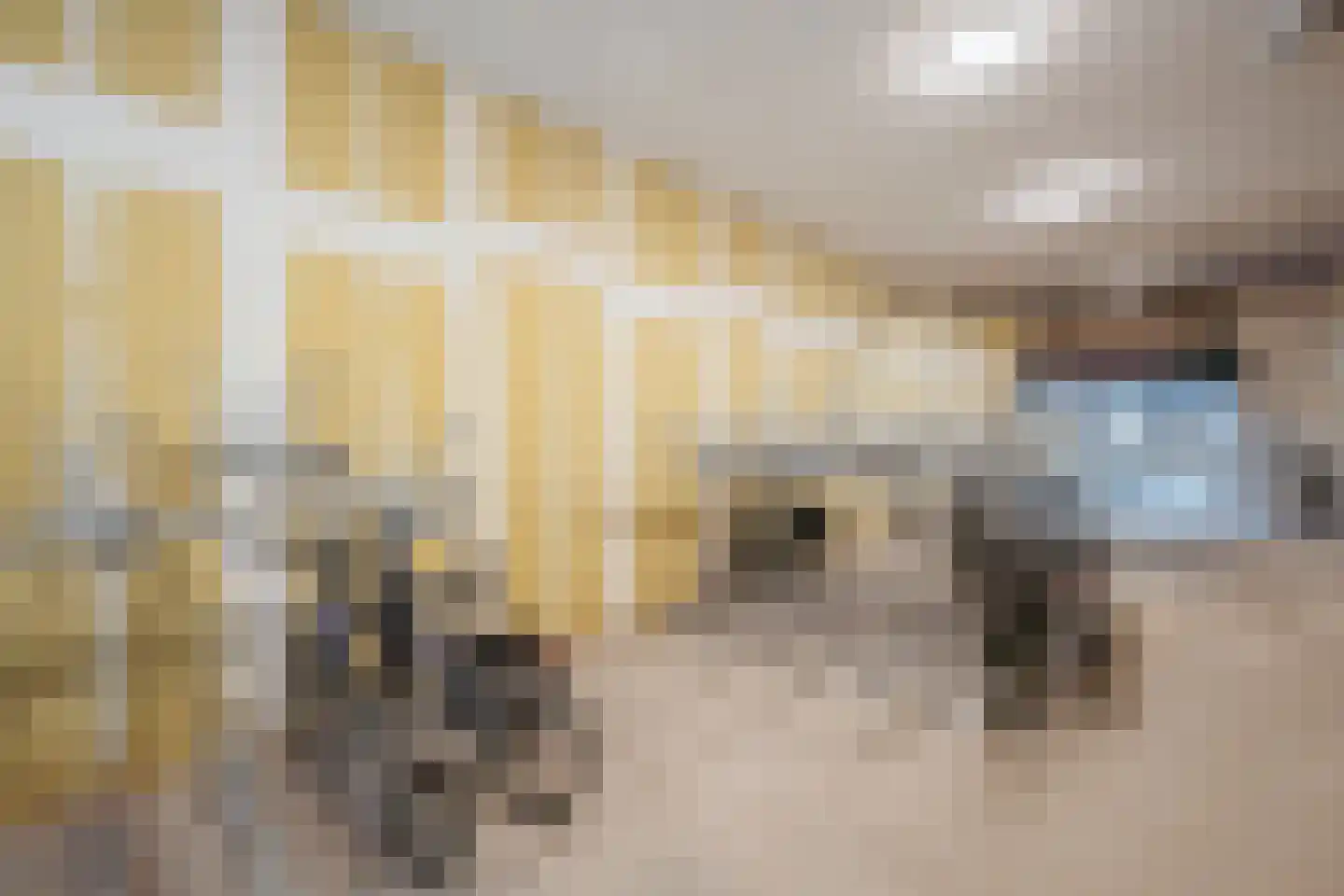 Dudokstraat 46 Hoofddorp thumbnail 18