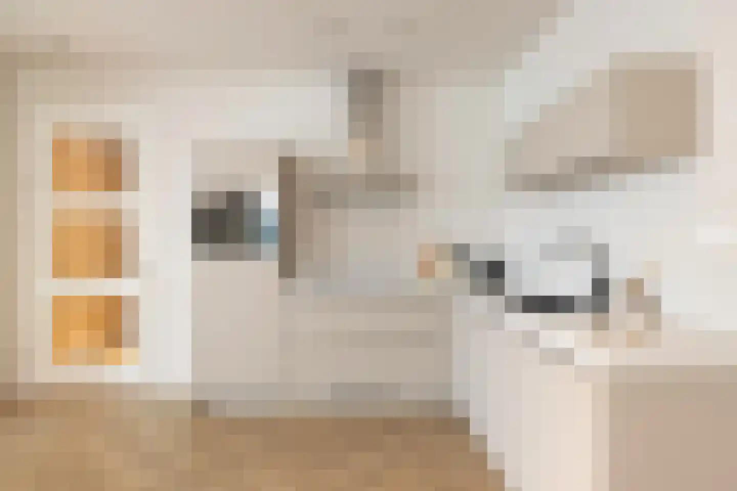 Dudokstraat 74 Hoofddorp thumbnail 18