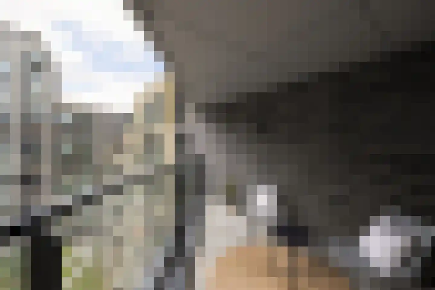 Dudokstraat 74 Hoofddorp thumbnail 33