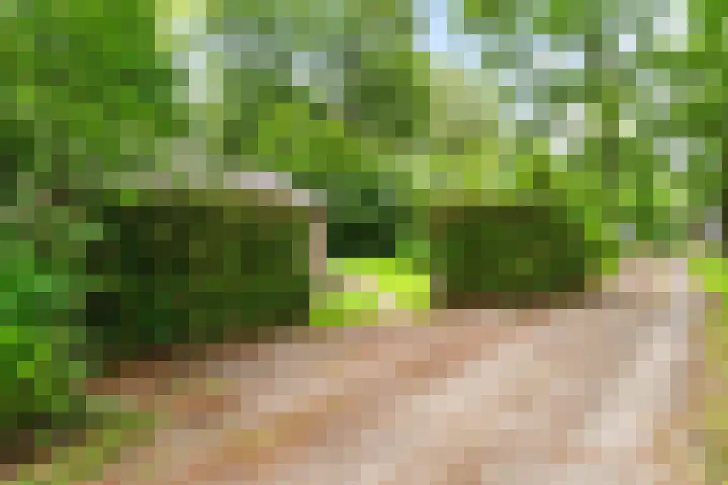 Duerswâldmer Wei 11 32 Bakkeveen thumbnail 28