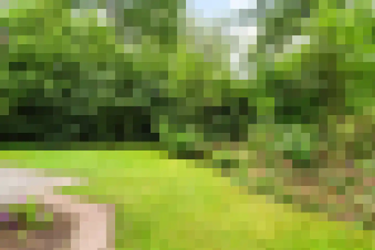 Duerswâldmer Wei 11 32 Bakkeveen thumbnail 30