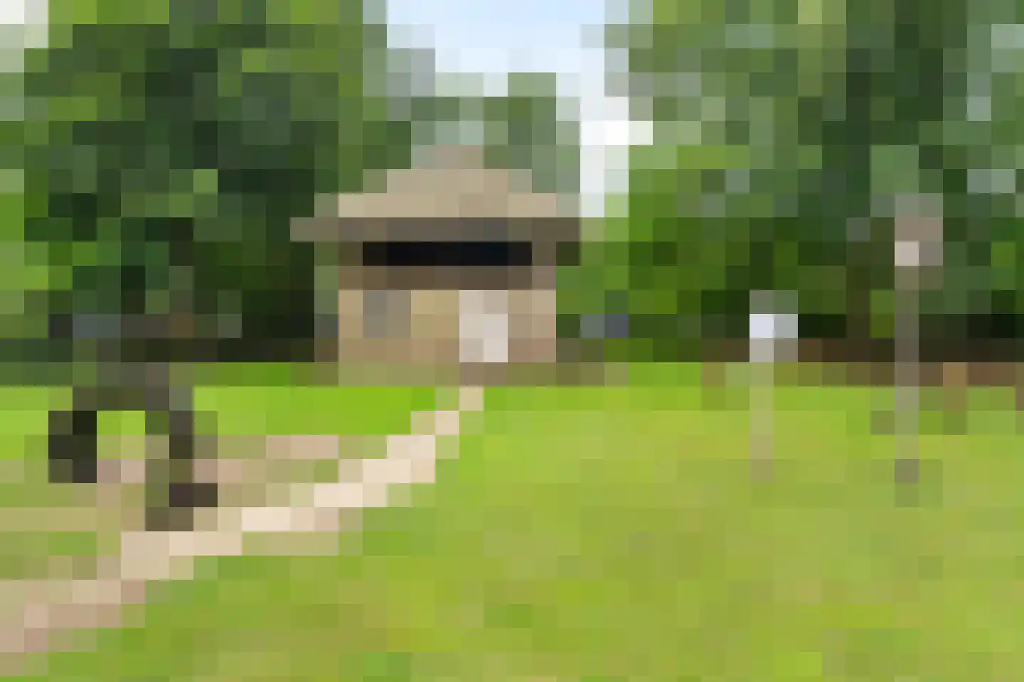 Duerswâldmer Wei 11 32 Bakkeveen thumbnail 33