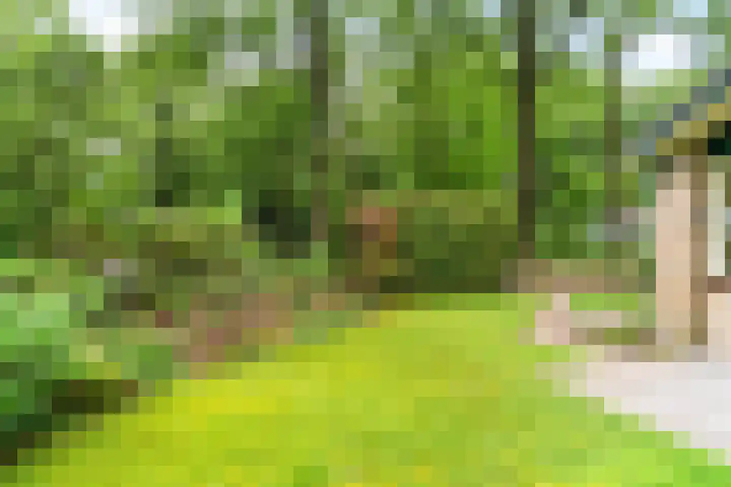 Duerswâldmer Wei 11 32 Bakkeveen thumbnail 5