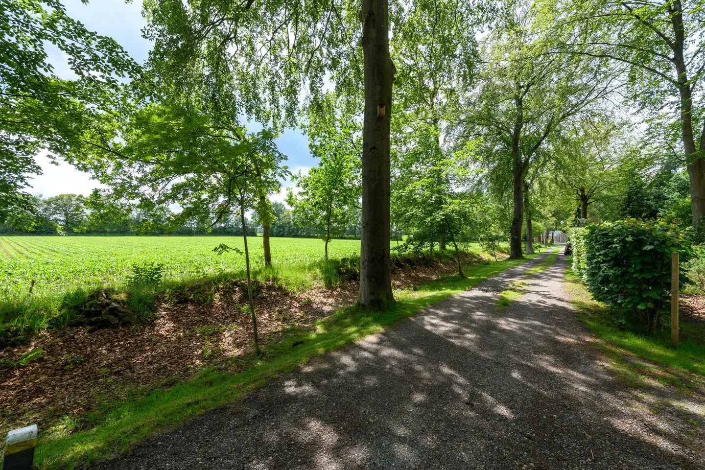 Duerswâldmer Wei 11 38 Bakkeveen thumbnail 30