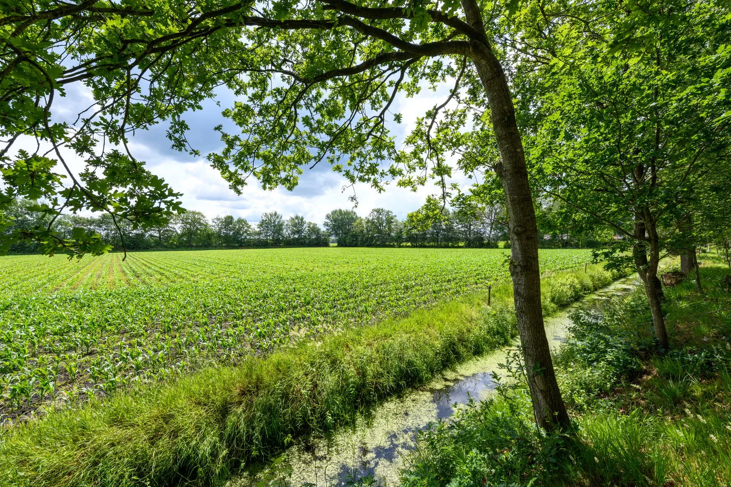 Duerswâldmer Wei 11 38 Bakkeveen thumbnail 34