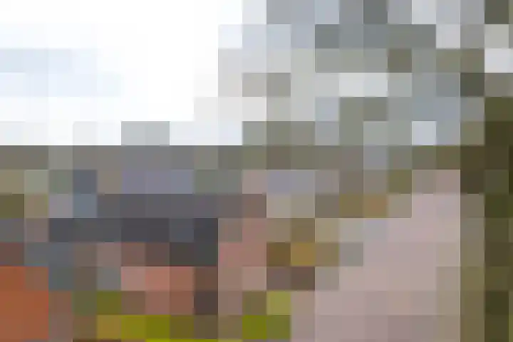 Duerswâldmer Wei 6 Bakkeveen thumbnail 12