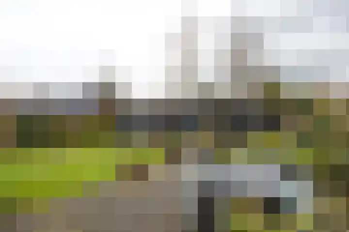 Duerswâldmer Wei 6 Bakkeveen thumbnail 13
