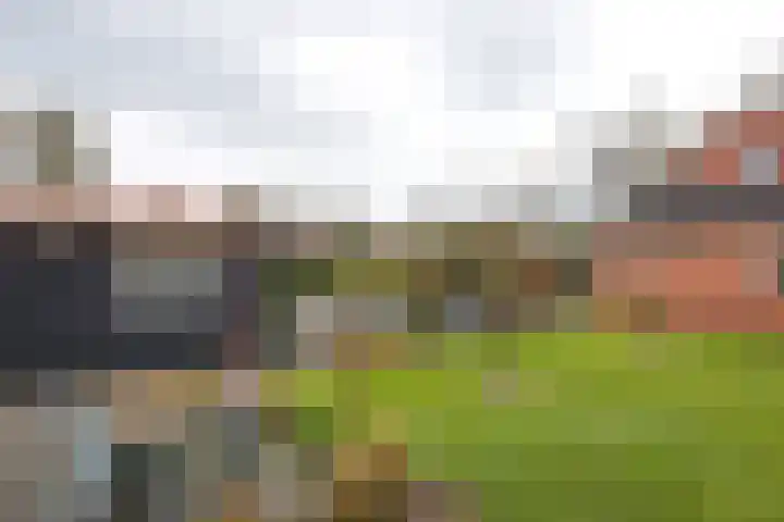 Duerswâldmer Wei 6 Bakkeveen thumbnail 15