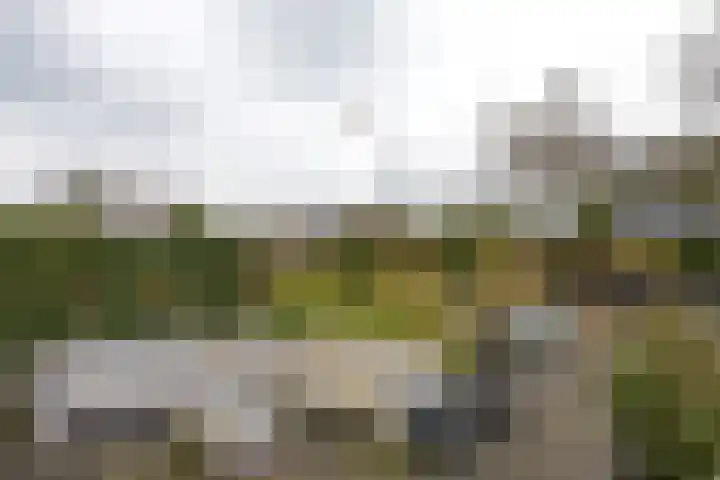 Duerswâldmer Wei 6 Bakkeveen thumbnail 16