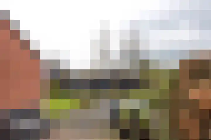 Duerswâldmer Wei 6 Bakkeveen thumbnail 18