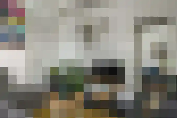 Duerswâldmer Wei 6 Bakkeveen thumbnail 22