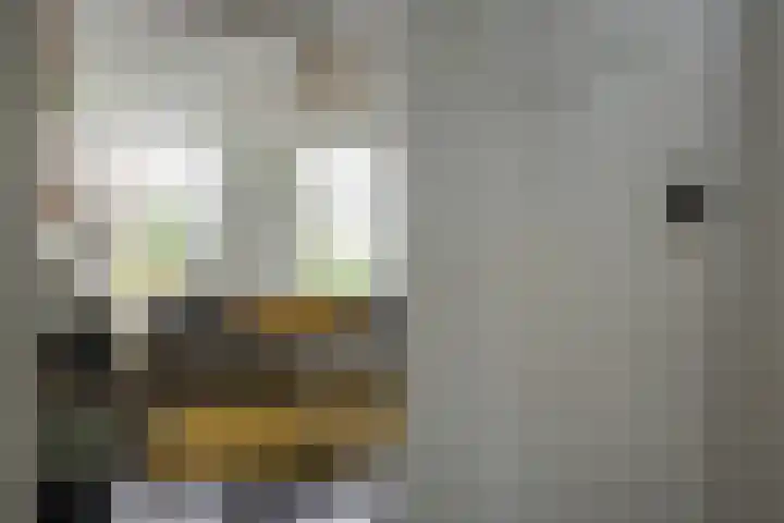Duerswâldmer Wei 6 Bakkeveen thumbnail 23