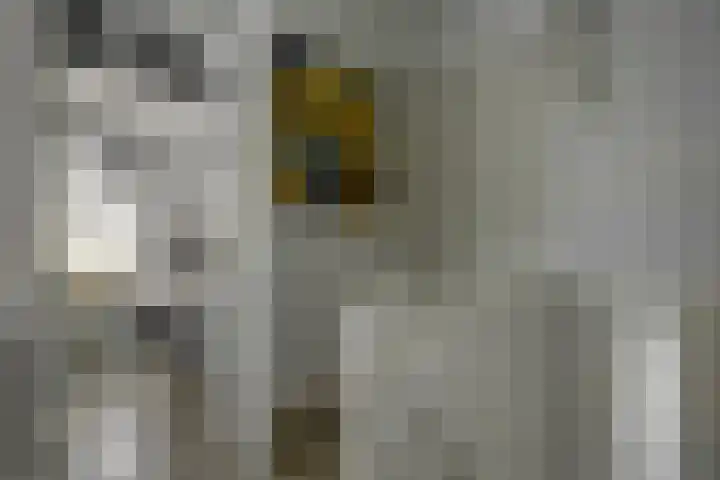 Duerswâldmer Wei 6 Bakkeveen thumbnail 34