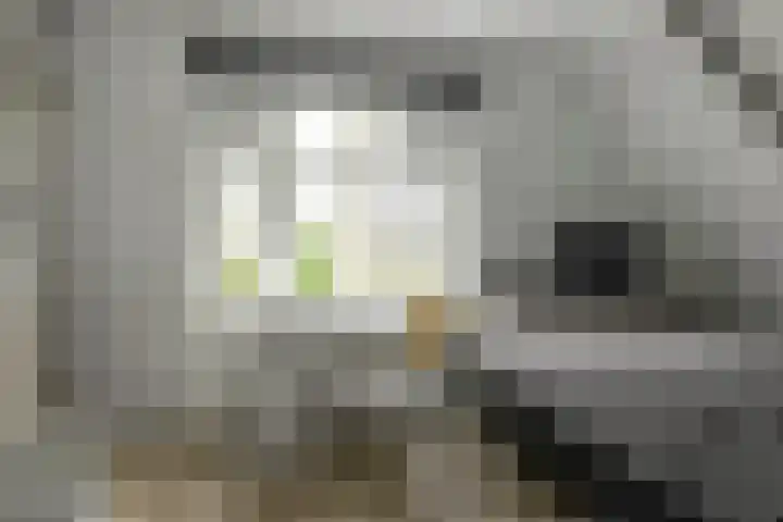 Duerswâldmer Wei 6 Bakkeveen thumbnail 35