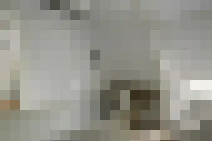 Duerswâldmer Wei 6 Bakkeveen thumbnail 38