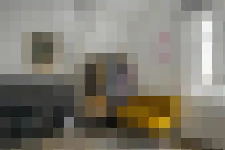 Duerswâldmer Wei 6 Bakkeveen thumbnail 41