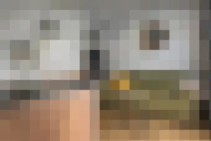 Duerswâldmer Wei 6 Bakkeveen thumbnail 45