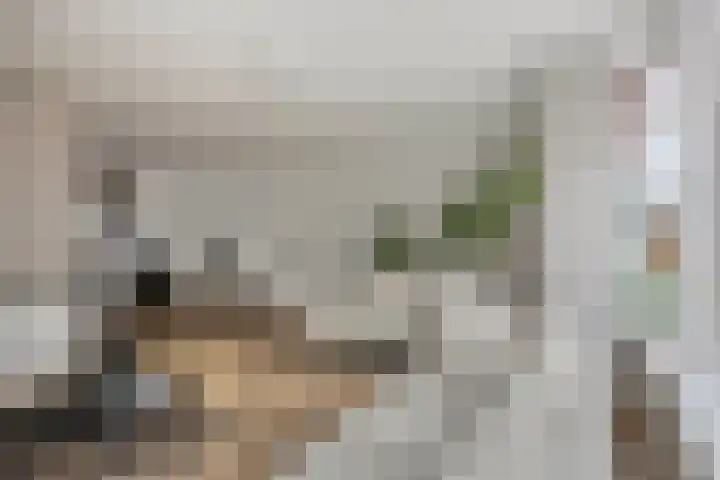 Duetstraat 17 Rosmalen thumbnail 11
