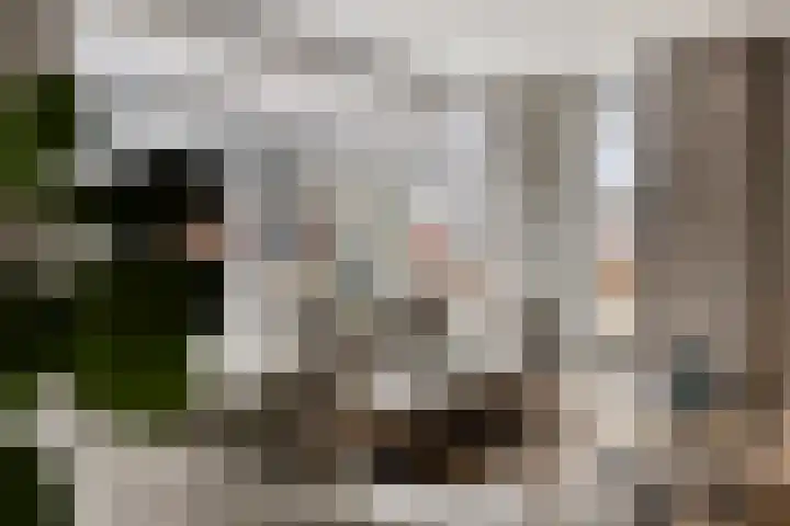 Duetstraat 17 Rosmalen thumbnail 18