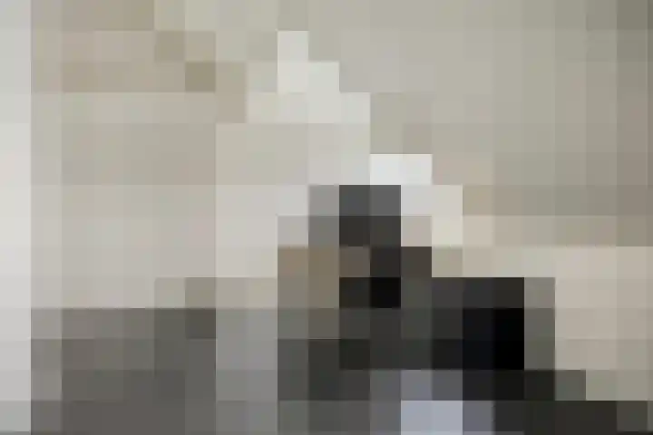Duetstraat 17 Rosmalen thumbnail 43