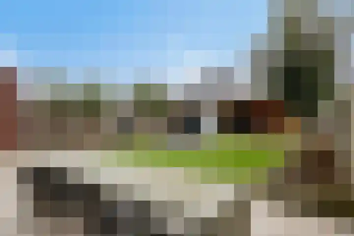 Duetstraat 17 Rosmalen thumbnail 5