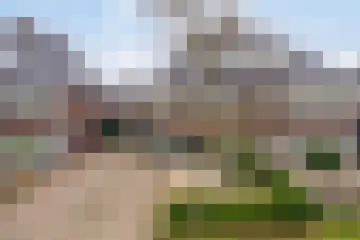 Duetstraat 17 Rosmalen thumbnail 51