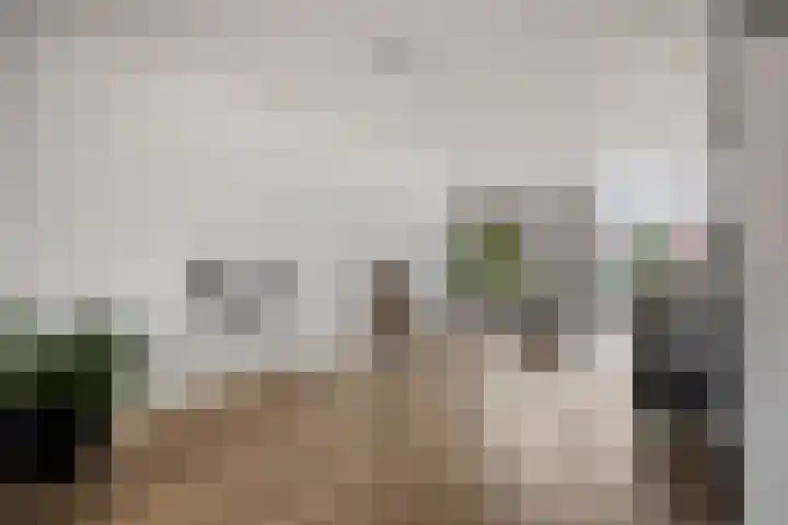 Duetstraat 17 Rosmalen thumbnail 8