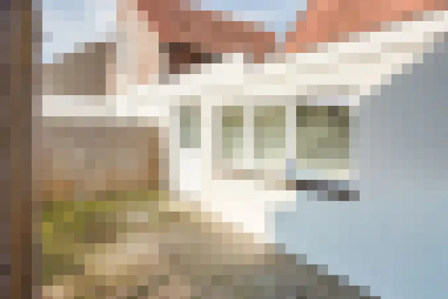 Duetzstraat 33 a Leerdam thumbnail 10