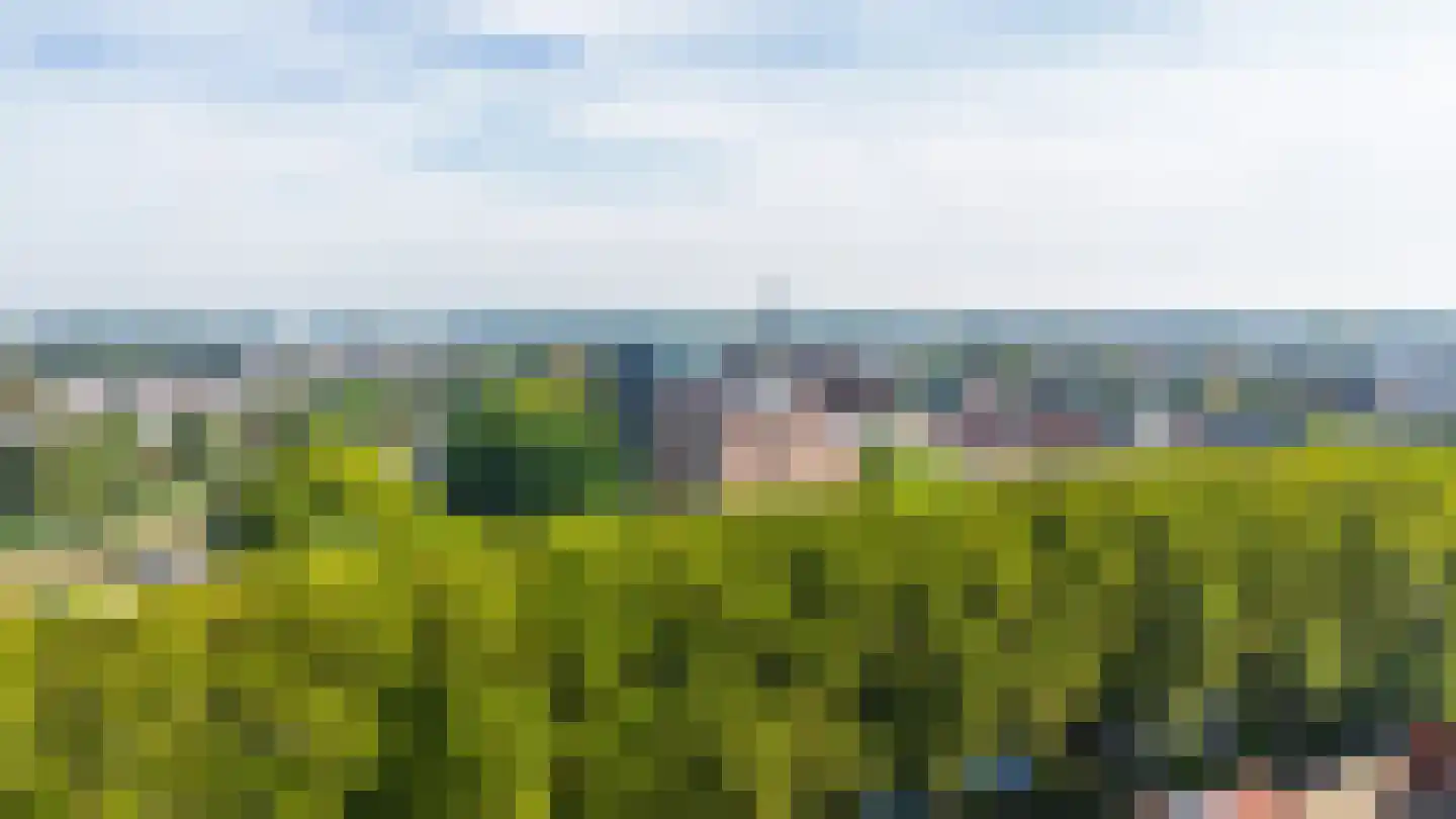 Duetzstraat 33 a Leerdam thumbnail 25