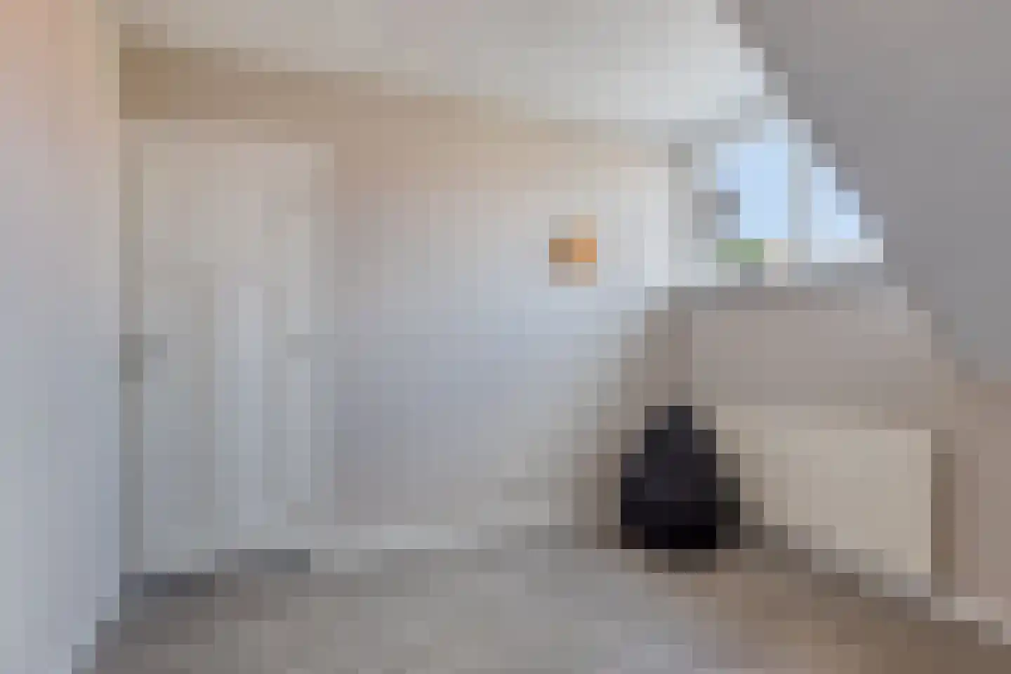 Dufaystraat 13 Eindhoven thumbnail 17