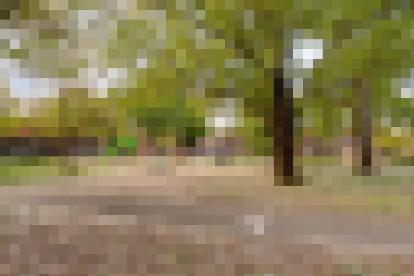 Dufaystraat 13 Eindhoven thumbnail 26