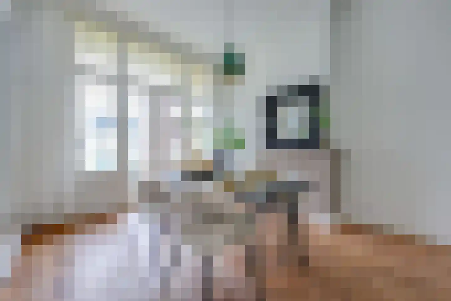 Dufaystraat 7 H Amsterdam thumbnail 12