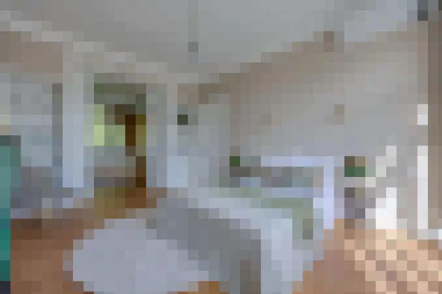 Dufaystraat 7 H Amsterdam thumbnail 29
