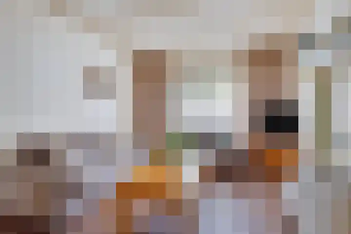 Dufaystraat 9 Eindhoven thumbnail 11