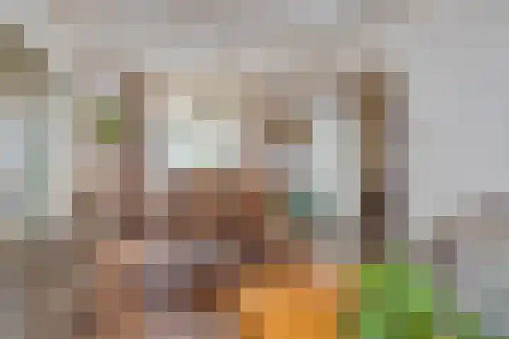 Dufaystraat 9 Eindhoven thumbnail 13