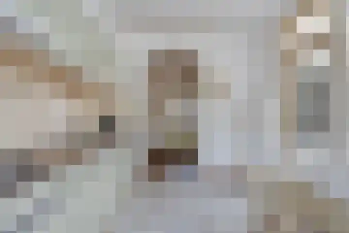 Dufaystraat 9 Eindhoven thumbnail 19