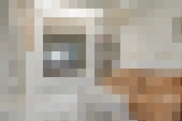 Dufaystraat 9 Eindhoven thumbnail 20