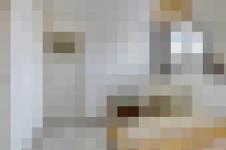 Dufaystraat 9 Eindhoven thumbnail 27