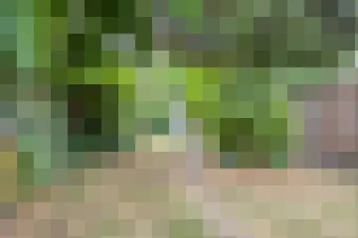 Dufaystraat 9 Eindhoven thumbnail 32