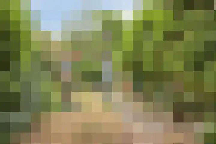 Dufaystraat 9 Eindhoven thumbnail 33