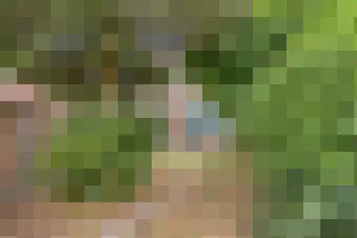Dufaystraat 9 Eindhoven thumbnail 34