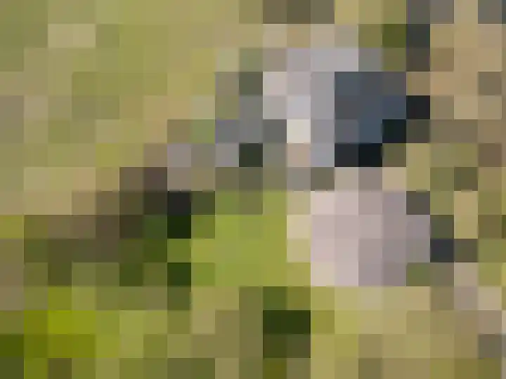 Duffeltdijk 9 Kekerdom thumbnail 4