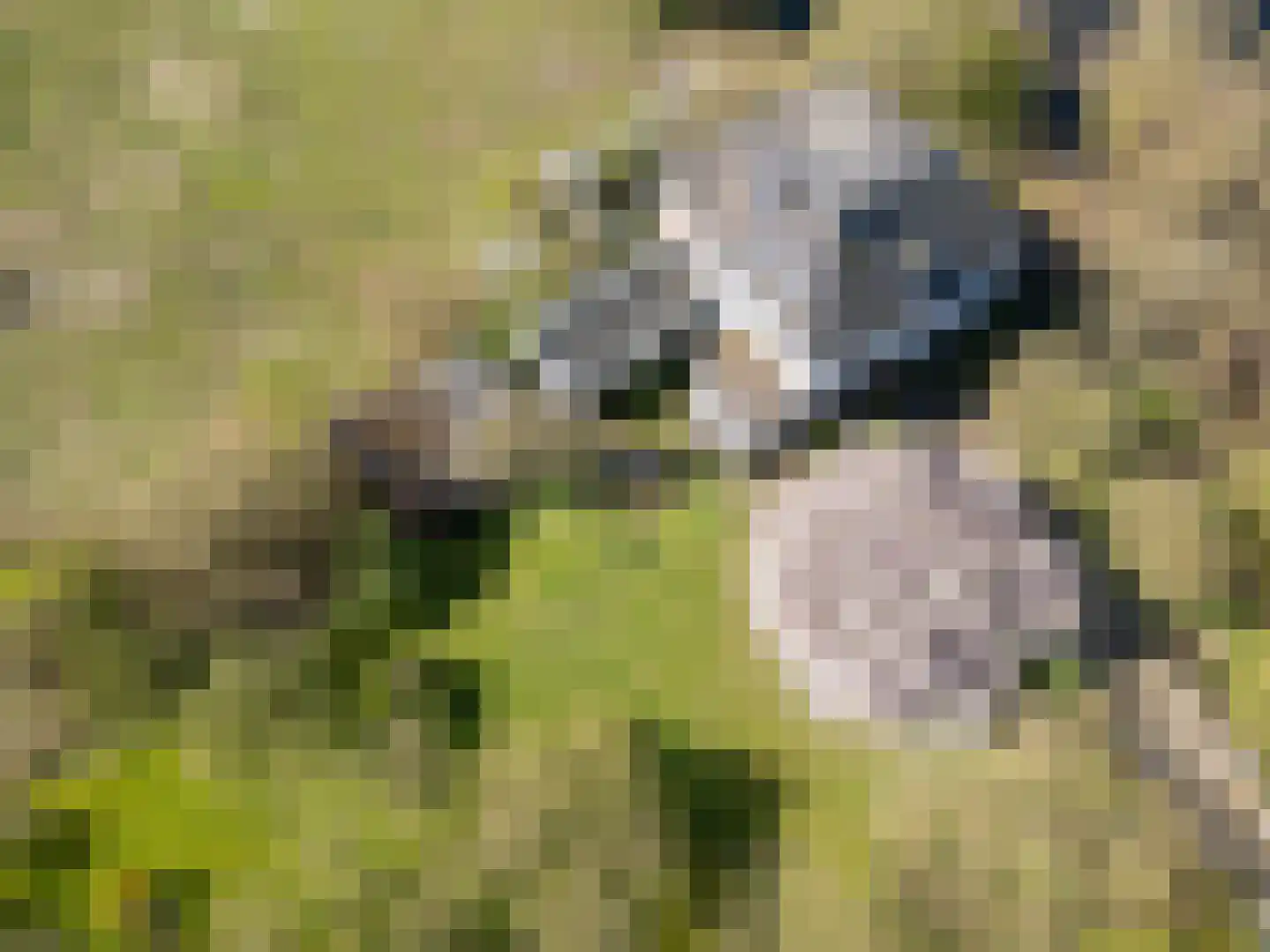 Duffeltdijk 9 Kekerdom thumbnail 4