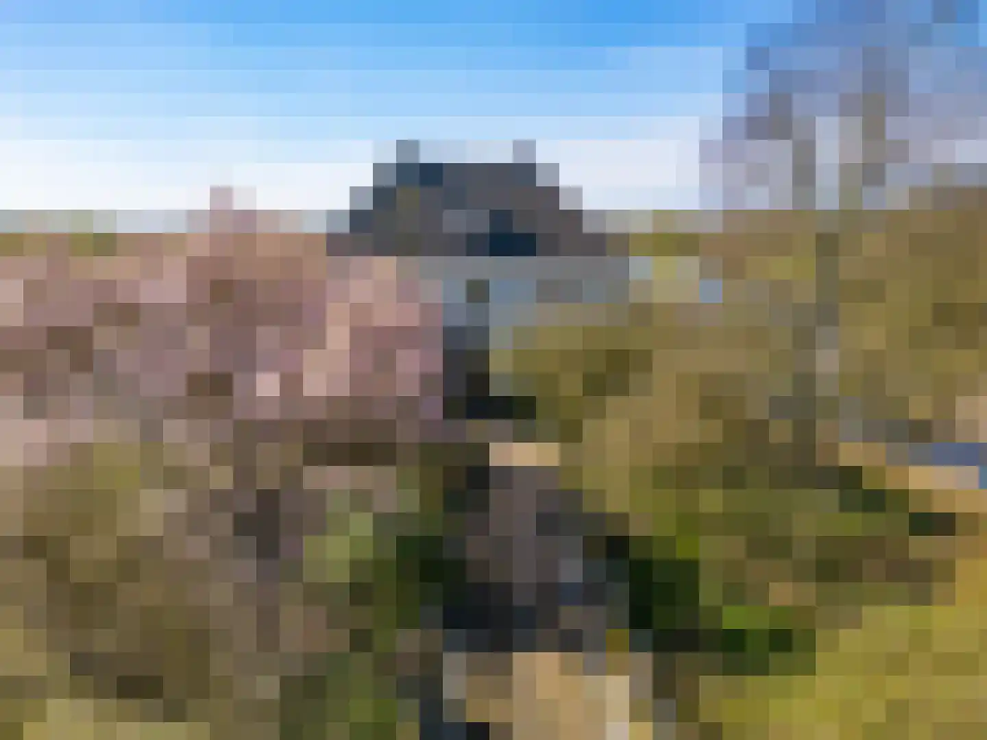 Duffeltdijk 9 Kekerdom thumbnail 5