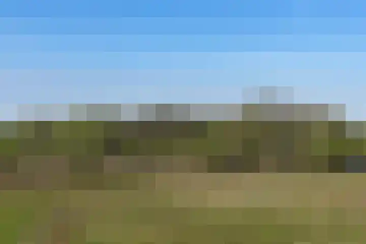 Duffeltdijk 9 Kekerdom thumbnail 53