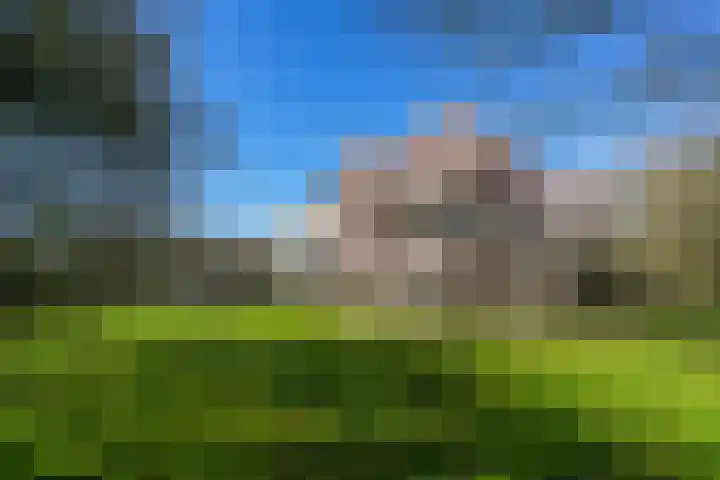 Duffeltdijk 9 Kekerdom thumbnail 54