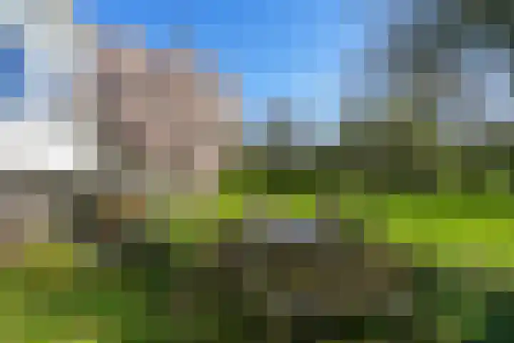 Duffeltdijk 9 Kekerdom thumbnail 55