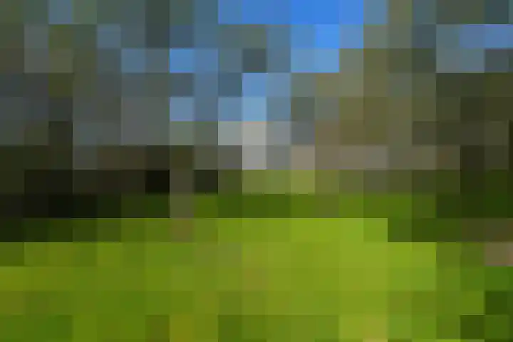 Duffeltdijk 9 Kekerdom thumbnail 56