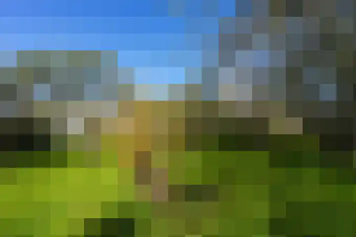 Duffeltdijk 9 Kekerdom thumbnail 58
